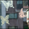 ~ &#9733; Виниловые наклейки "Бабочки".