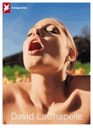 David LaChapelle Stern Portfolio