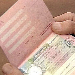 шенгенская виза на год
