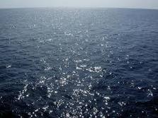 Съездить на море