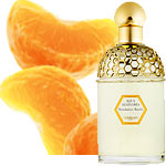 Guerlain Aqua Allegoria- Mandarine Basilic