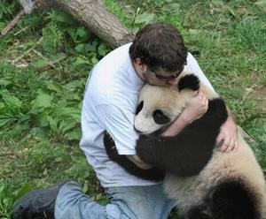 to embrace a panda