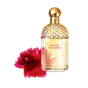 Guerlain Aqua Allegoria Pivone (Guerlain)