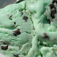 mint chocolate chip ice cream