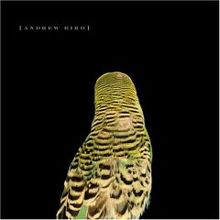 Andrew Bird 'Armchair Apocrypha' (CD)