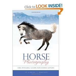 Horse Photography: The Dynamic Guide for Horse Lovers (Horses Ponies) [Hardcover]