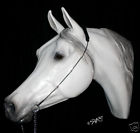 Arab Bitted Stallion Cable Show Halter SILVER MOON