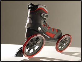 LandRoller skates