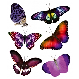 наклейки для декорирования "Бабочки Ультрафиолет"