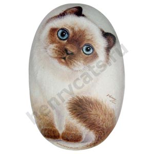 Коврик для мышки Шаша Cats & Friends
