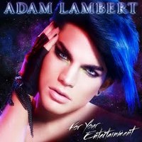 CD Adam Lambert "For Your Entertainment"