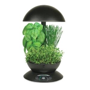 AeroGarden 900110-1208 Classic Garden 3-Pod with Gourmet Herb Seed Kit, Black: Patio, Lawn & Garden