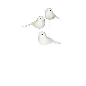 Tilda White birds