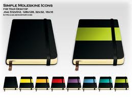 Moleskin