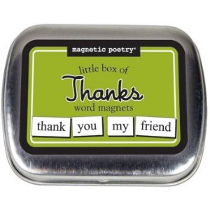 MAGNETIC POETRY - LITTLE BOX OF THANKS WORD MAGNETS