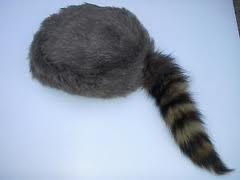 Coonskin cap aka Енотная шапка