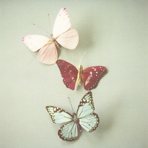 butterfly hairpins