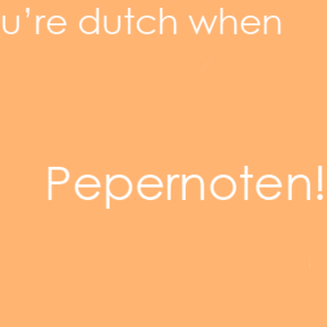 dutch course