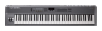 Kurzweil SP4-8