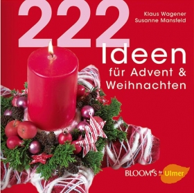 222 Ideen fur Advent & Weihnachten    222 идеи для Рождества и Нового года