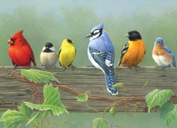 раскраска по номерам "Rail Birds"