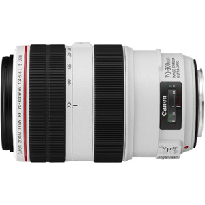 CANON EF 70-300 f/4-5.6 L IS USM