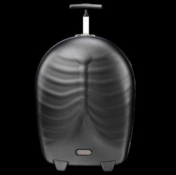 Alexander mcqueen samsonite best sale