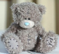 Teddy Bear