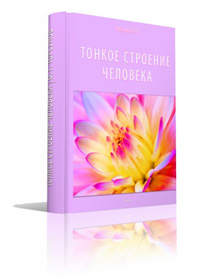 Торсунов.Тонкое строение человека