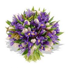 тюльпаны и ирисы