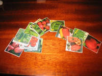 пластмассовые карточки с изображением фруктов,овощей,животных,птиц