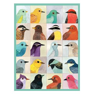 Avian Friends Puzzle