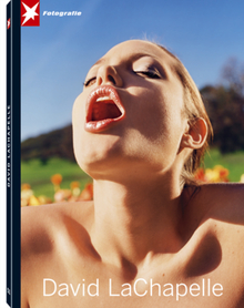 Stern Portfolio No. 51 - David LaChapelle (hardcover)