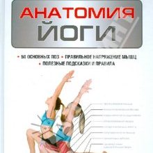 Абигейл Эллсуорт "Анатомия йоги"