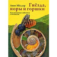 Гнезда, норы и горшки. Как насекомые заботятся о потомстве