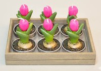 набор свечей "Тюльпан"