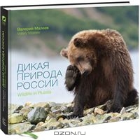 Дикая природа России / Wildlife in Russia