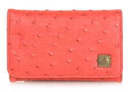 Helen Wallet SS12