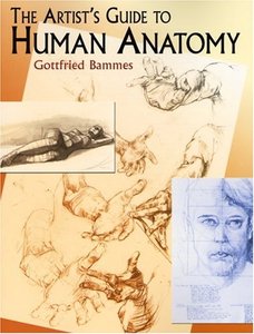 The Artist's Guide To Human Anatomy by Gottfried Bammes