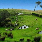 New Zealand