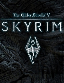 Диск с игрой "The Elder Scrolls V: Skyrim"