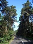 Дойти пешком от Ступино до Злюкиной дачи