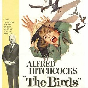 The Birds