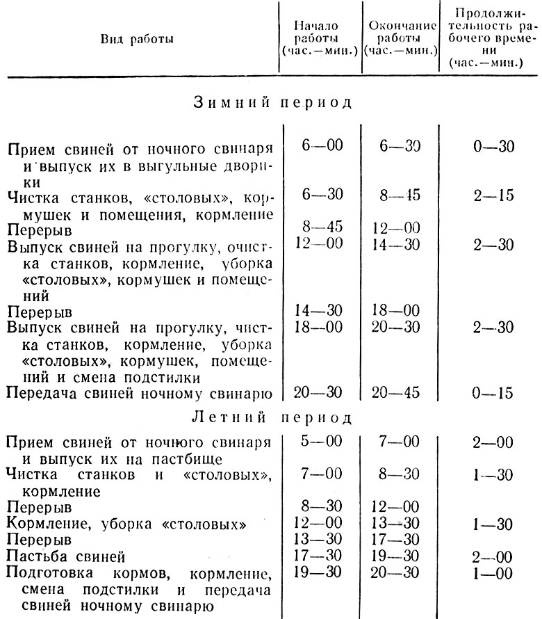 Распорядок рабочего времени на производстве образец