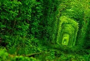 Тунель любви