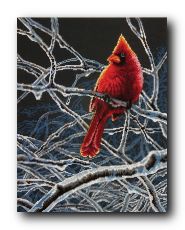 Ice Cardinal