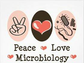 Футболка "Peace Love Microbiology"