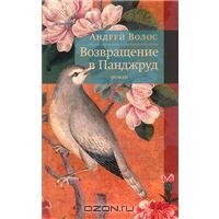 Андрей Волос - Возвращение в Панджруд