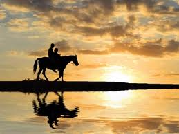 покататься на лошадях в деревне