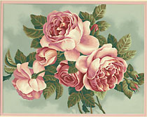 Раскраска `Фамильные розы`